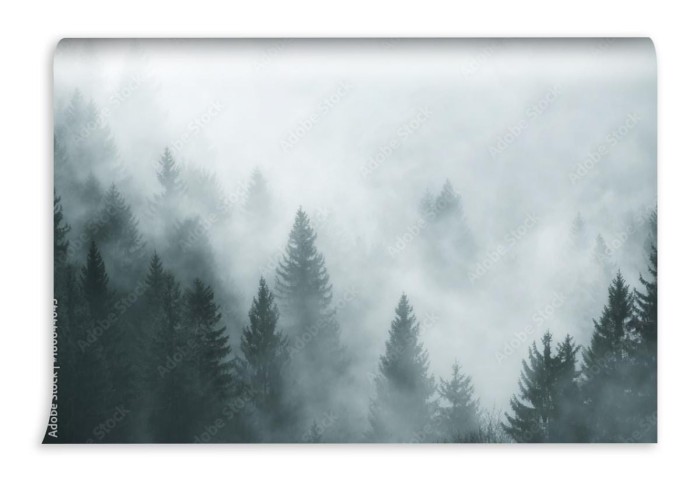 fototapeta fantazja mglowy las w ranek mgle zdjecie z