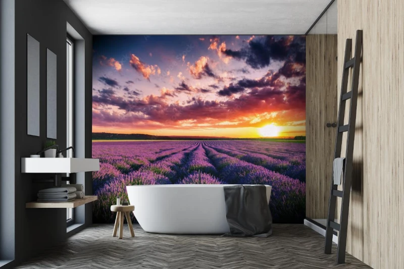 fototapeta kwitnace pola kwiatow lawendy w niekonczacych sie