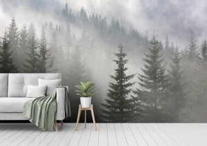 fototapeta las sosnowy we mgle
