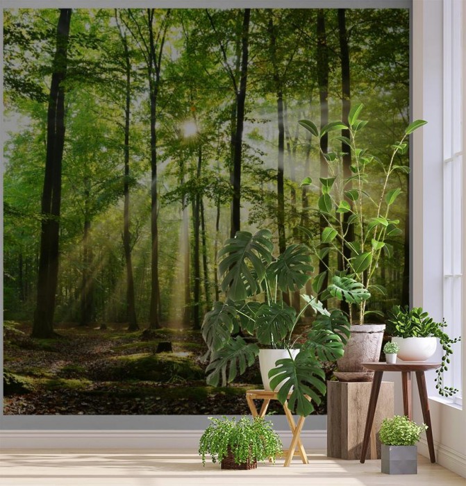 fototapeta las w promieniach slonca