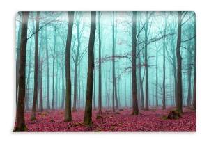 fototapeta magiczny las w kolorze czerwonym i turkusowym