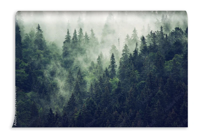 fototapeta mgliste wzgorza i las