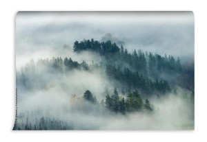 fototapeta mglisty krajobraz skandynawskiego lasu