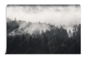 fototapeta piekny strzal zalesione gory we mgle pod ch
