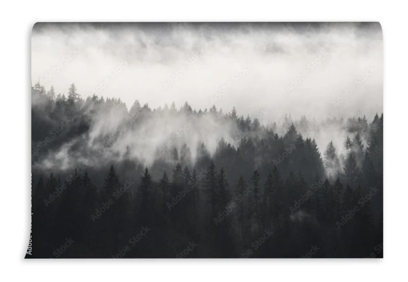 fototapeta piekny strzal zalesione gory we mgle pod ch