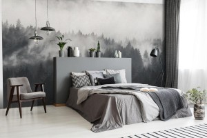 fototapeta piekny strzal zalesione gory we mgle pod ch