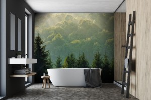 fototapeta swierk las na mglisty wschod slonca w gorach