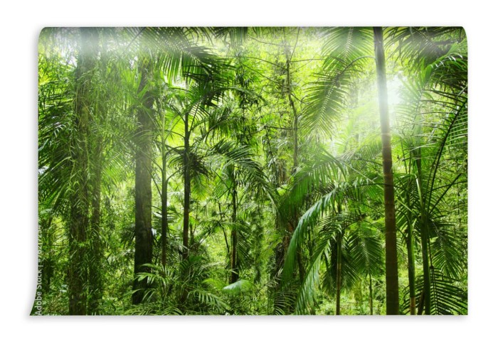 fototapeta tropikalna dzungla i promienie slonca