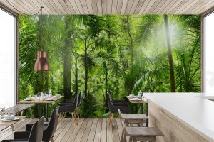 fototapeta tropikalna dzungla i promienie slonca