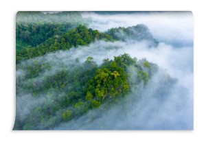 fototapeta widok z lotu ptaka ranek mgla przy tropikalna t