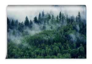 fototapeta z widokiem na gory i poranna mgla