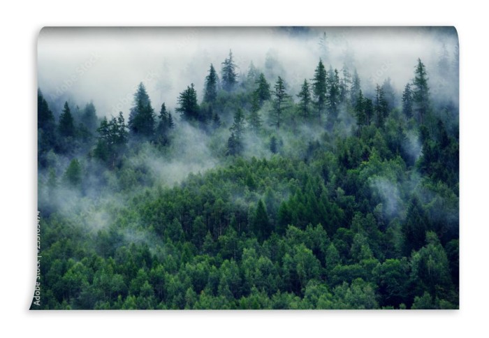 fototapeta z widokiem na gory i poranna mgla