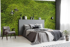 fototapeta naturalny mech