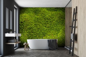 fototapeta naturalny mech