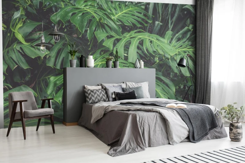 fototapeta zielone liscie filodendronu monstera rosliny r