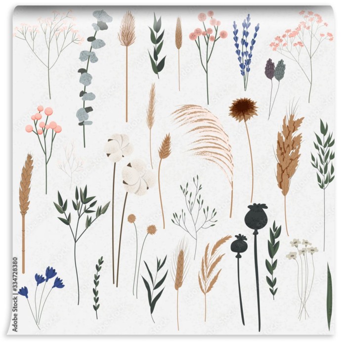 fototapeta rosliny boho piekne recznie rysowane