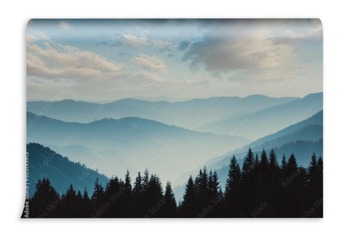 fototapeta krajobraz mglistych gor widok lasu iglastego