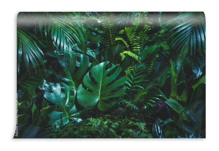 fototapeta tropikalne liscie palmowe