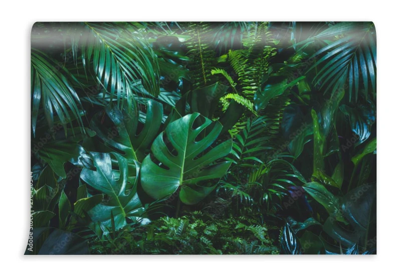 fototapeta tropikalne liscie palmowe