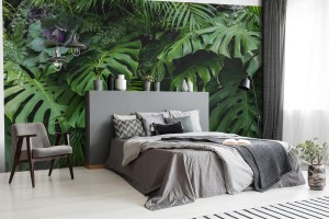 fototapeta zieleni tropikalni liscie monstera paproc i p