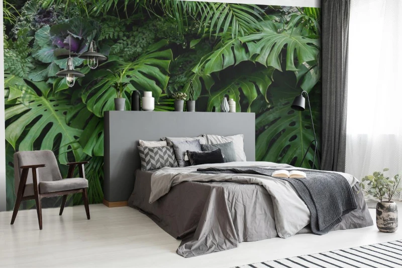fototapeta zieleni tropikalni liscie monstera paproc i p