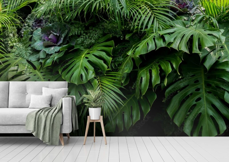 fototapeta zieleni tropikalni liscie monstera paproc i p