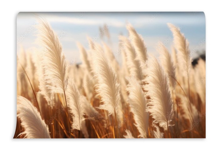 fototapeta naturale trawy
