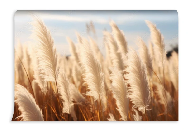 fototapeta naturale trawy