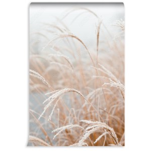 fototapeta naturalne tlo