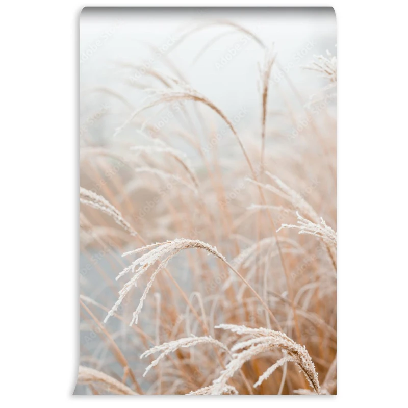 fototapeta naturalne tlo