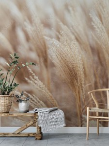 fototapeta naturalne trawy