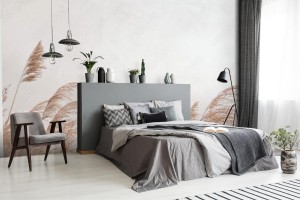 fototapeta pampas grass outdoor in light