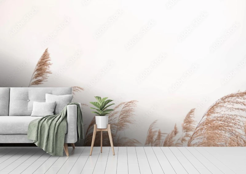 fototapeta pampas grass outdoor in light