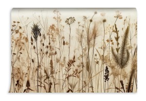 fototapeta suche ziola i kwiaty boho