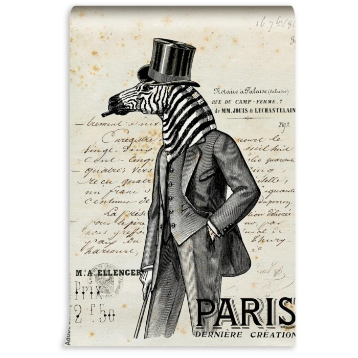 fototapeta czlowiek zebra
