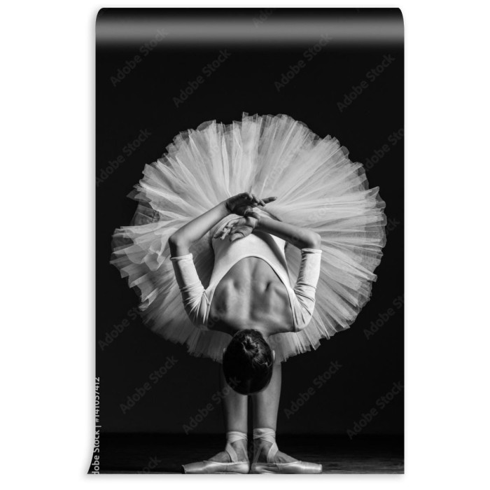 fototapeta mloda piekna balerina pozuje w studiu