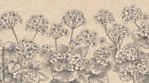 AdobeStock_1797979966_Preview.jpeg