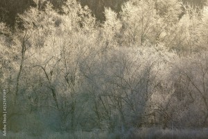 AdobeStock_252583589_Preview.jpeg