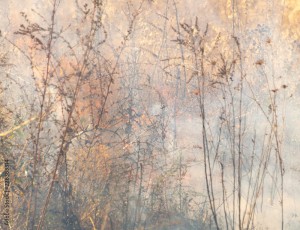 AdobeStock_228383314_Preview.jpeg