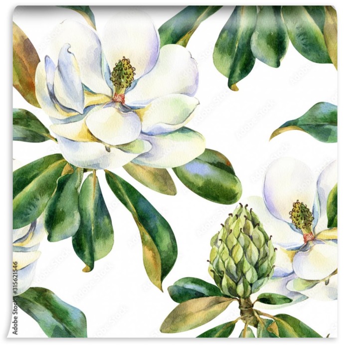 fototapeta akwarela bezszwowe wzor z bialej magnolii