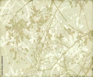 AdobeStock_28889134_Preview (1).jpeg