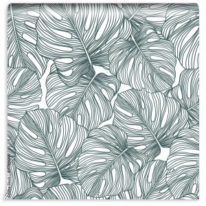 fototapeta delikatna monstera tropikalny lisc