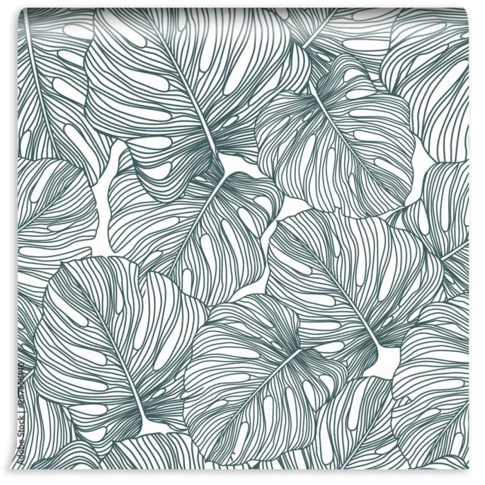 fototapeta delikatna monstera tropikalny lisc