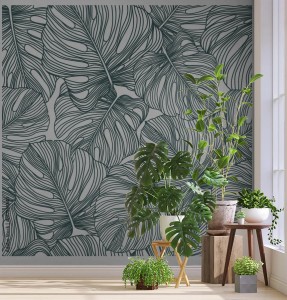 fototapeta delikatna monstera tropikalny lisc