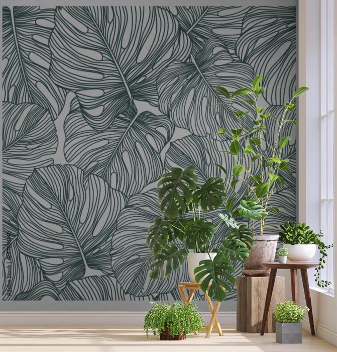 fototapeta delikatna monstera tropikalny lisc