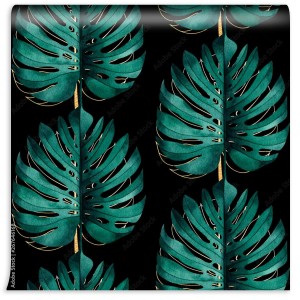 fototapeta lisc monstera zielony zloty
