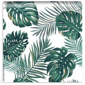 fototapeta liscie na bialym tle monstera i paproc