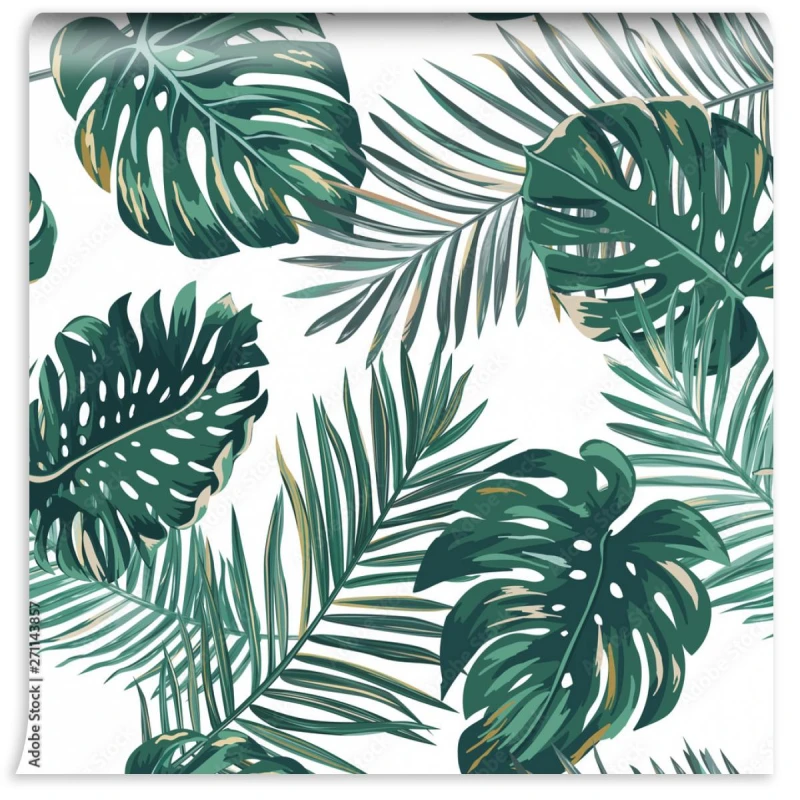 fototapeta liscie na bialym tle monstera i paproc