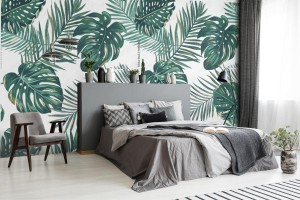 fototapeta liscie na bialym tle monstera i paproc