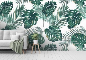 fototapeta liscie na bialym tle monstera i paproc